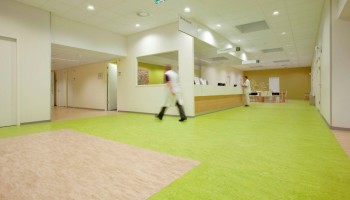 Linoleum / Marmoleum